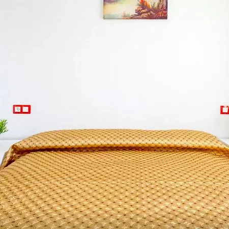 Apartment Pascual Flores 19 *